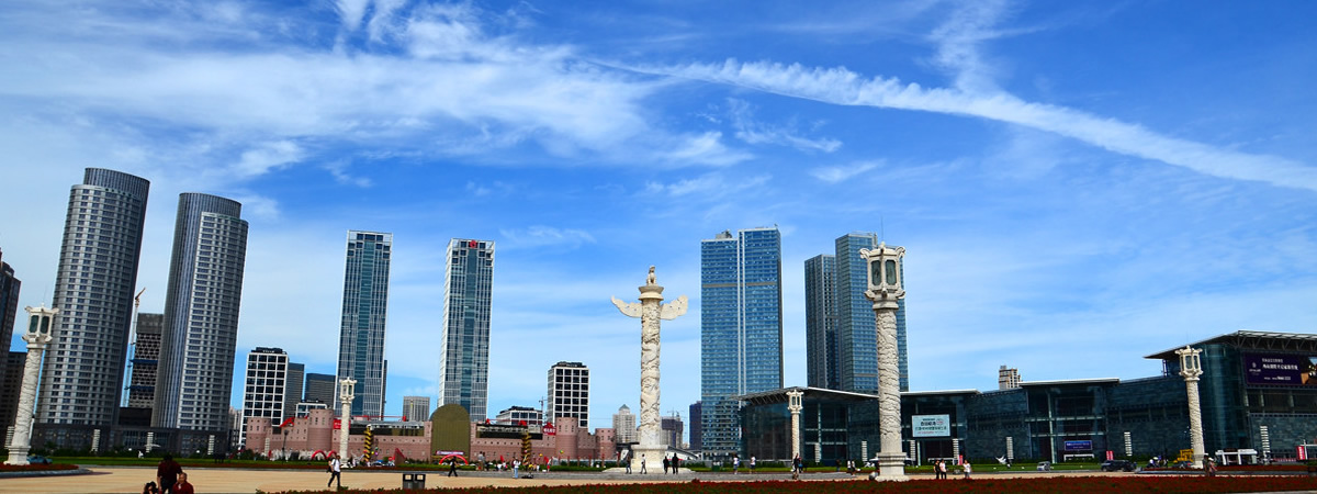 企業(yè)愿景